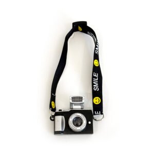 Camera with built-in battery and flash