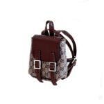 Fashion Dress - Labubu Gucci Style Backpack